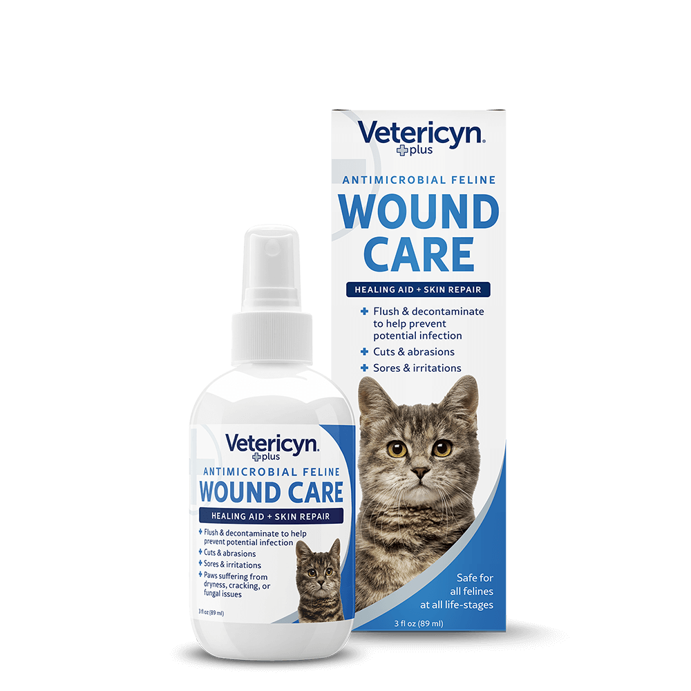 What counts as a wound on a cat?