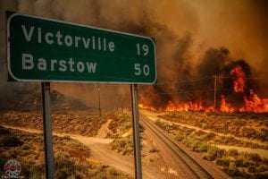 Animals and wildfire
