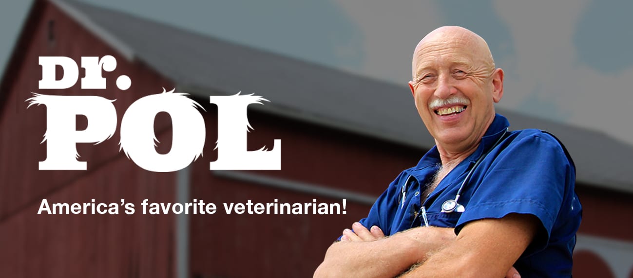 11 Questions With Dr. Pol Vetericyn Animal Wellness