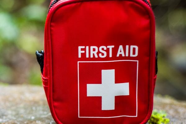 Some of the top first aid supplies for horses, chickens, dogs, and cats
