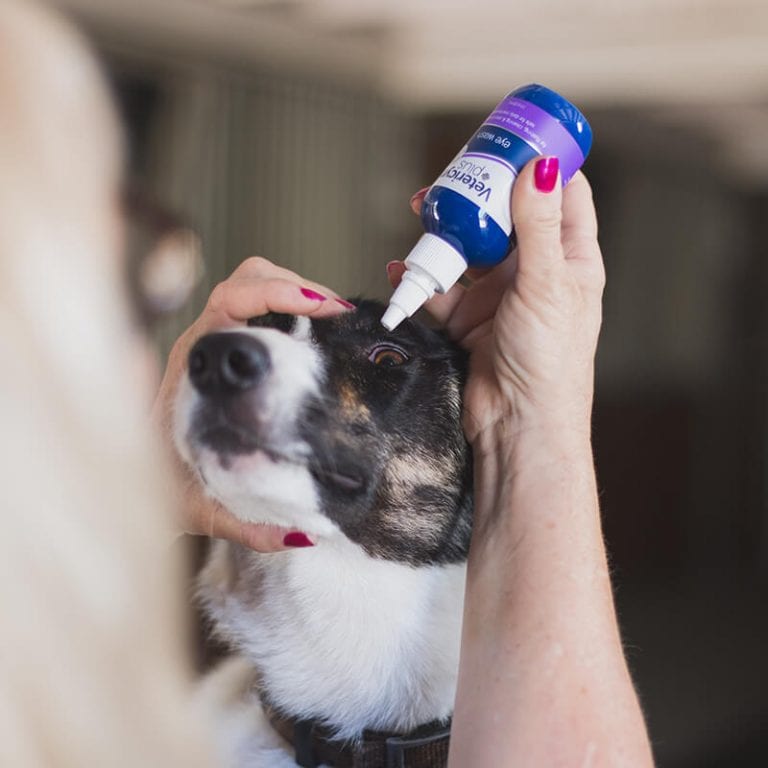 Vetericyn Plus® Antimicrobial Eye Wash - Vetericyn Animal Wellness