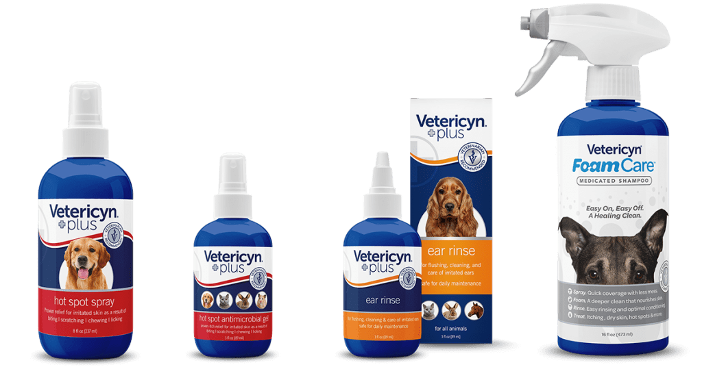 How to Care for Yeast Infections in Dogs