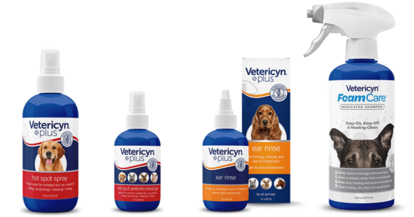 How to Care for Yeast Infections in Dogs