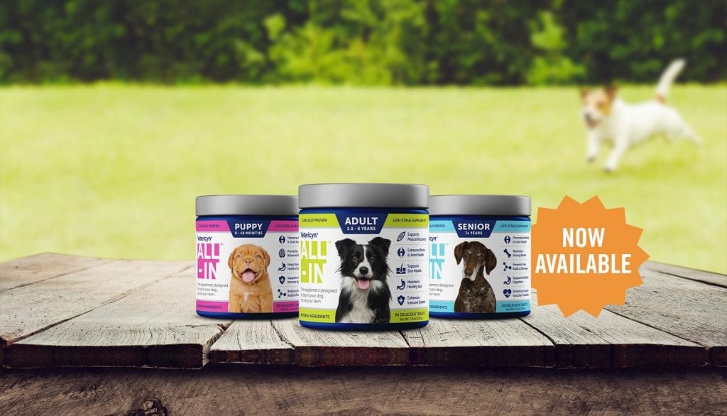 Vetericyn ALL-IN™ - Vetericyn Animal Wellness