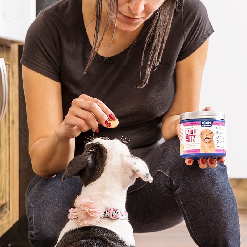 Vetericyn® ALL-IN Dog Supplement - Vetericyn Animal Wellness