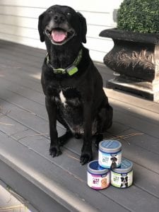 senior dog with all 3 All-In products