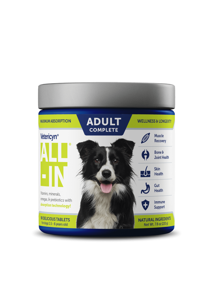 ALL-IN Adult
