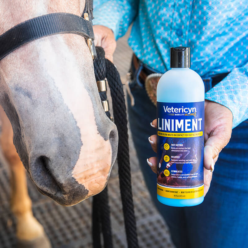 Vetericyn Equine Liniment Vetericyn Animal Wellness