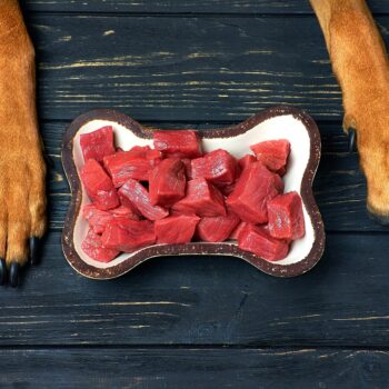 Bowl of fresh raw meat for dog.