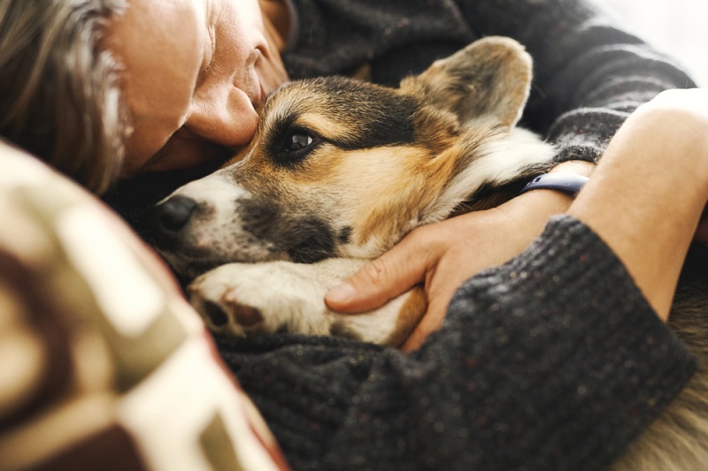 man embracing his injured pet