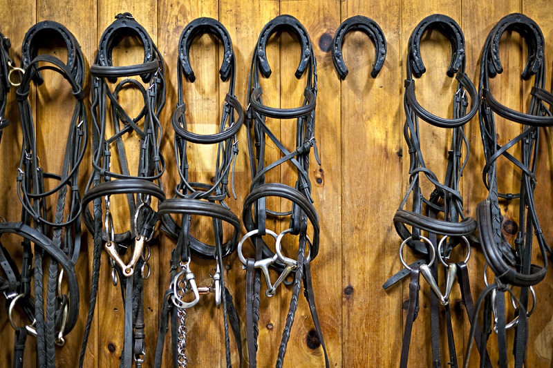 Horse tack room