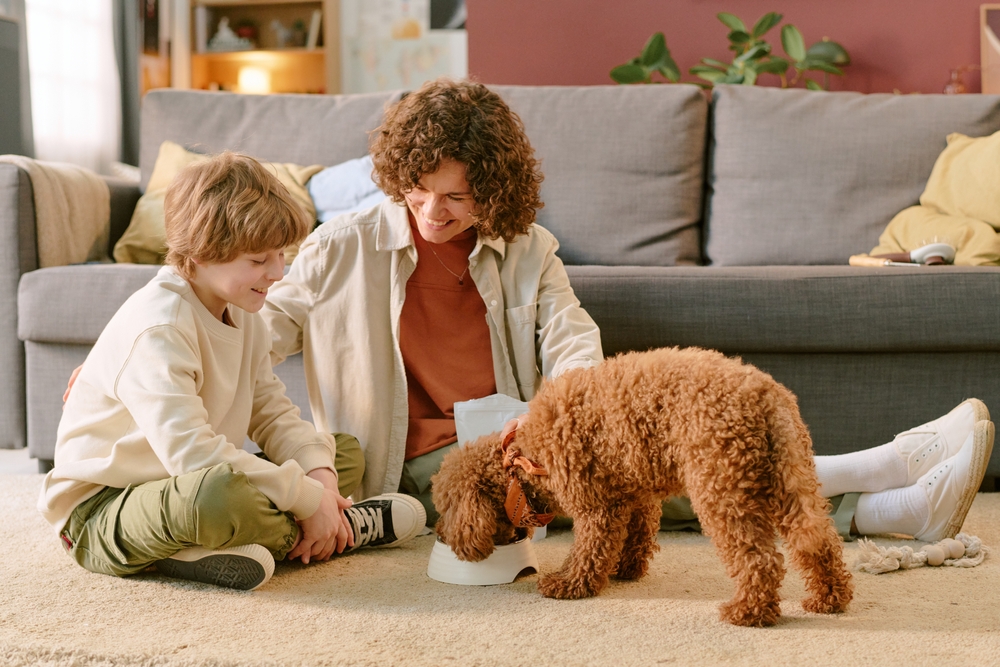 Dog Gut Health