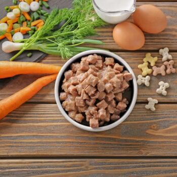 Incorporating Multivitamins into Your Dog’s Wellness Plan