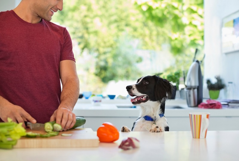 Man cooking with dog in kitchen