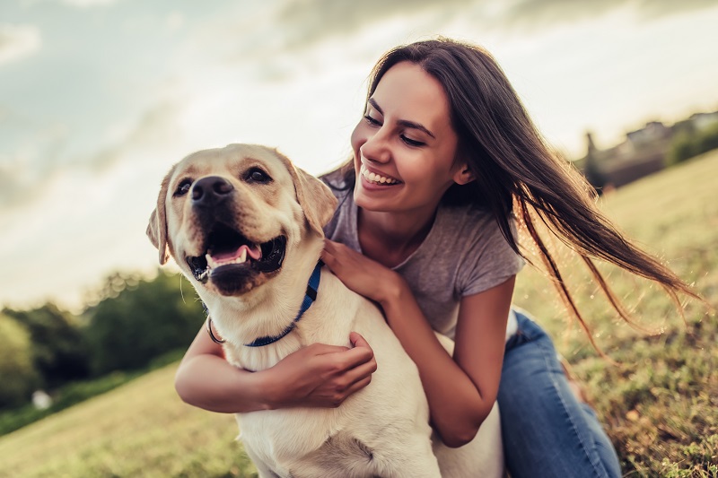 labrador-retriever-lifespan