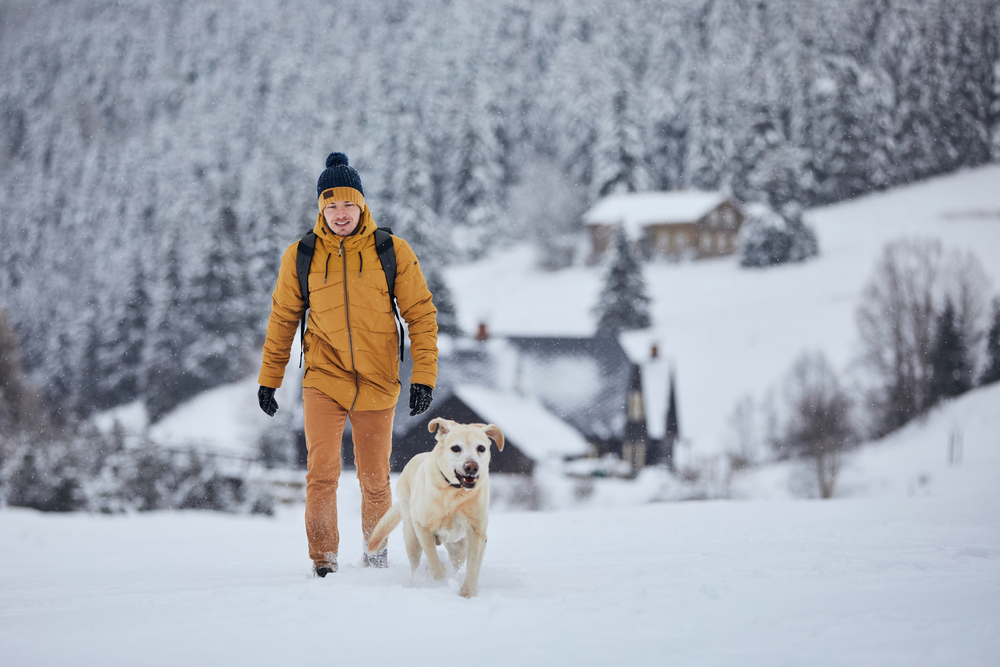 Cold Weather Hazards for Dogs