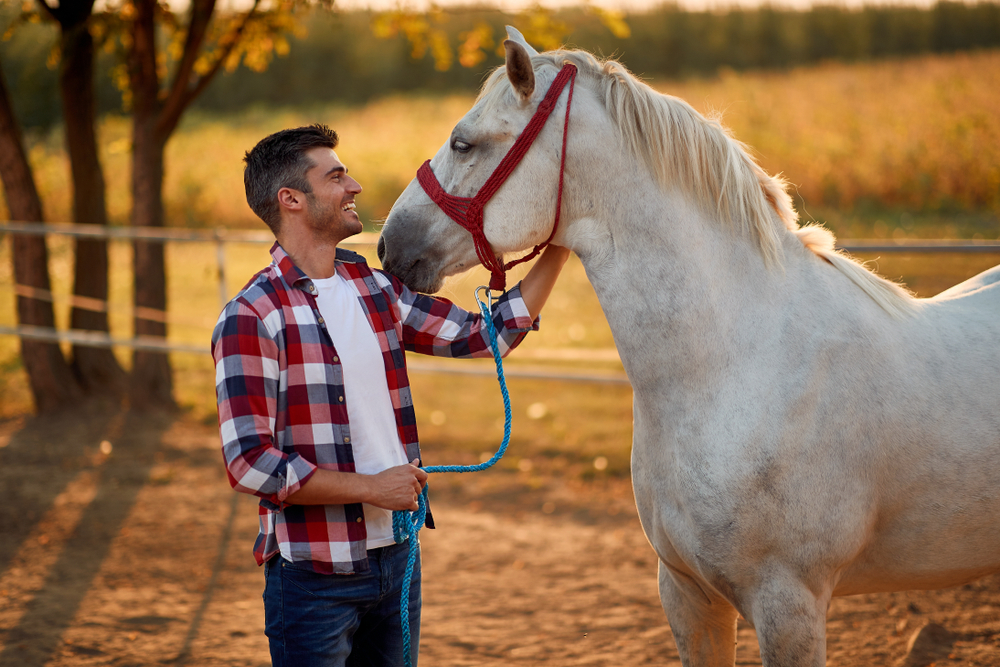 Man and horse