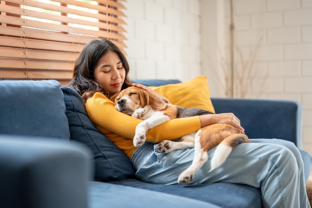 Dog care