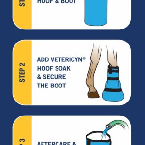 hoof-boot-steps