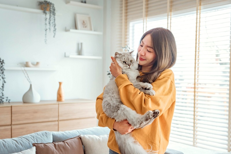 Cat Losing Hair on Ears