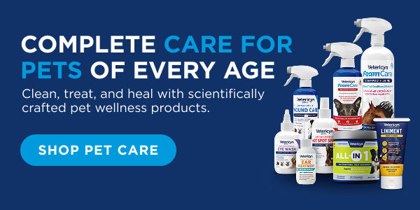 Complete care for pets of every age. Shop pet care!