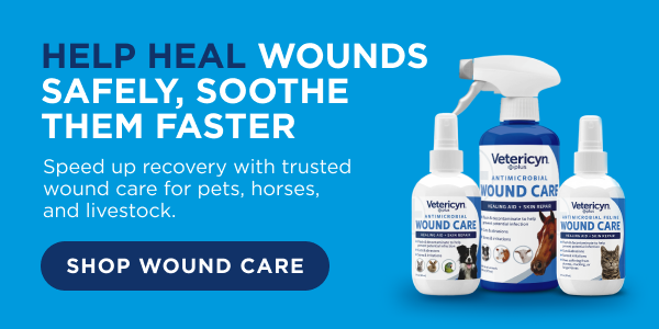 Help heal wounds safely, soothe them faster. Shop wound care!