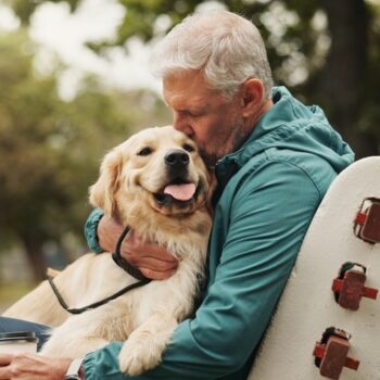 Canine dementia