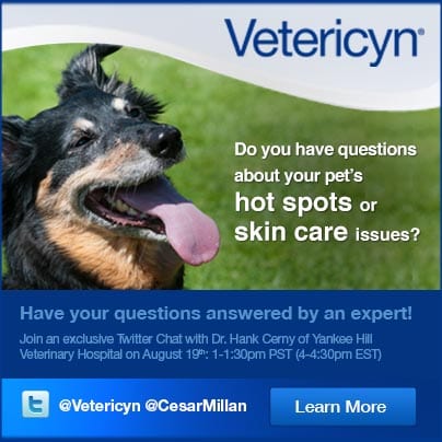 Vetericyn Is Hosting A Twitter Chat with Dr. Cerny on 8/19 + Official Rules for Giveaways