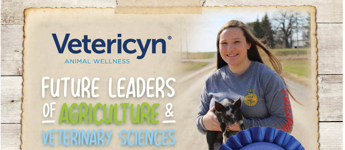 Vetericyn scholarship title next to winner holding her show pig