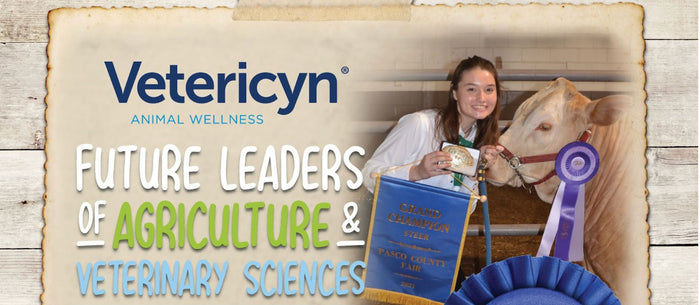 Vetericyn scholarship title next to winner by her show cow