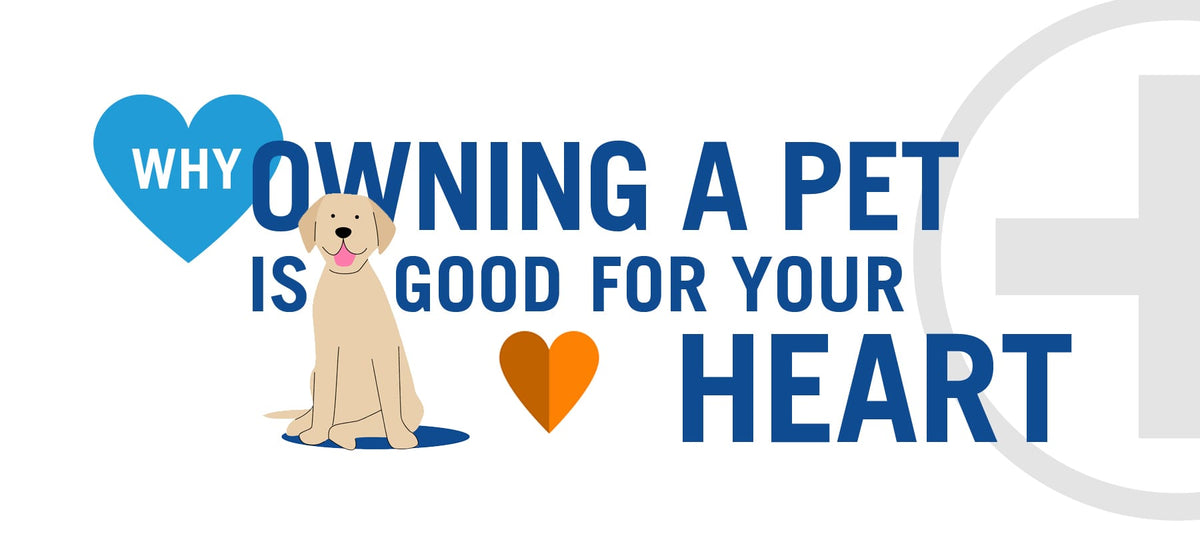 Why Owning a Pet is Good For Your Heart - Infographic