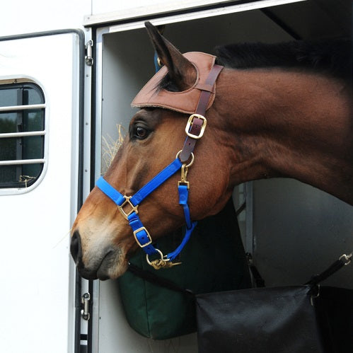 Horse Transporting Essentials: Safety Tips for Stress-Free Travel