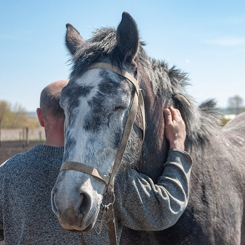 The Power of a Molecule: Hypochlorous