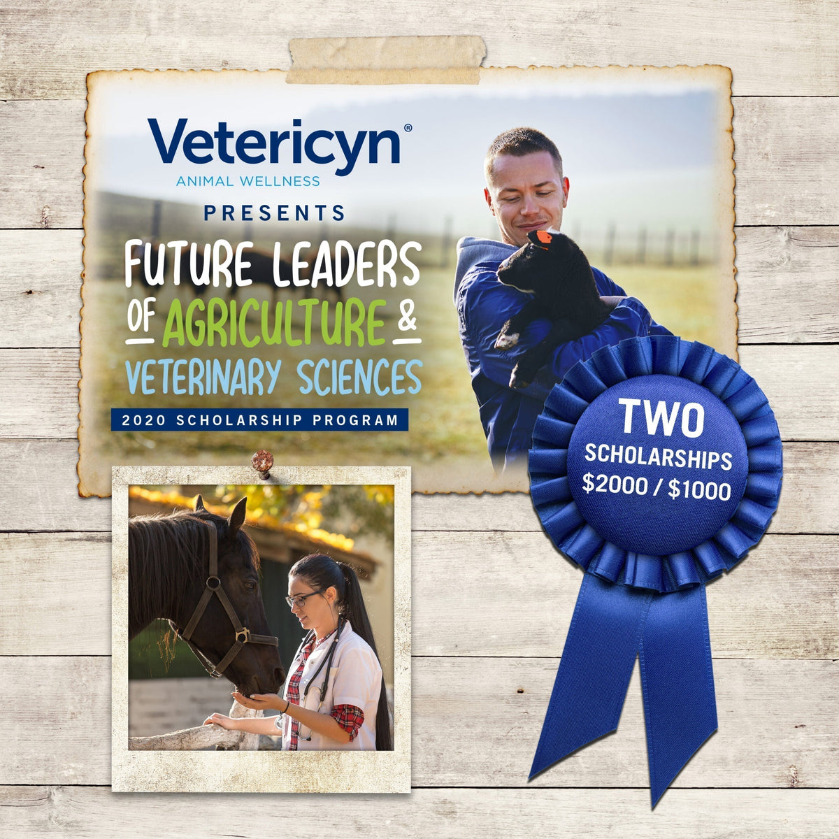 Future Leaders of Agriculture and Veterinary Sciences 2020 Scholarship Winners - Vetericyn