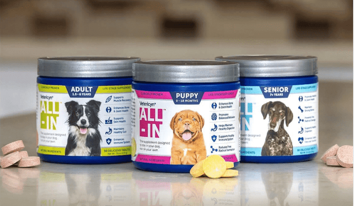 How to Choose a Supplement That’s Just Right for Your Dog