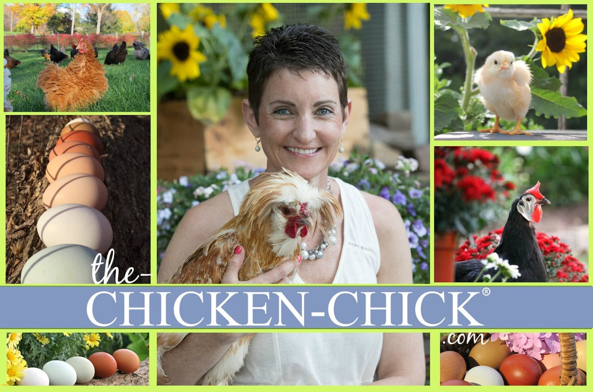 Backyard Chicken Wound Care Readiness by Kathy Shea Mormino, The Chicken Chick®