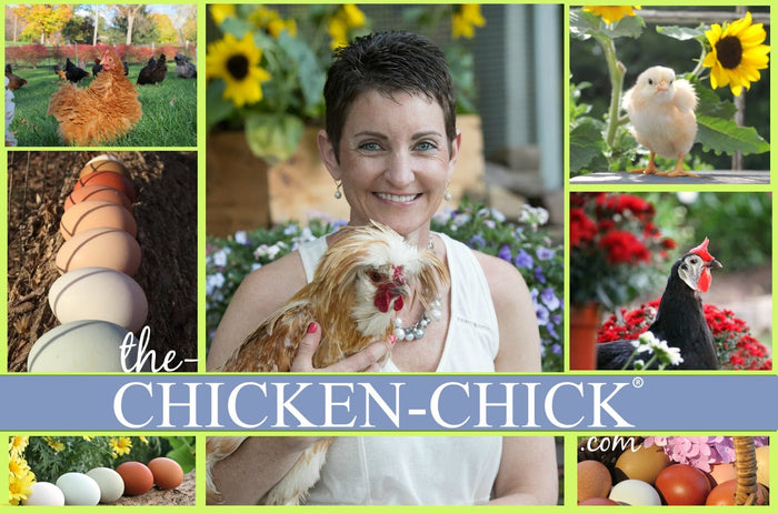 Backyard Chicken Wound Care Readiness by Kathy Shea Mormino, The Chicken Chick®