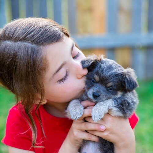 Puppy Vitamins: Laying the Foundation for a Healthy Life