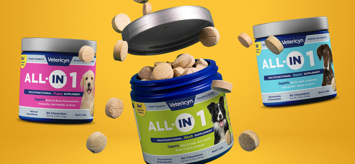 Jars of ALL-IN dog supplements flying through the air