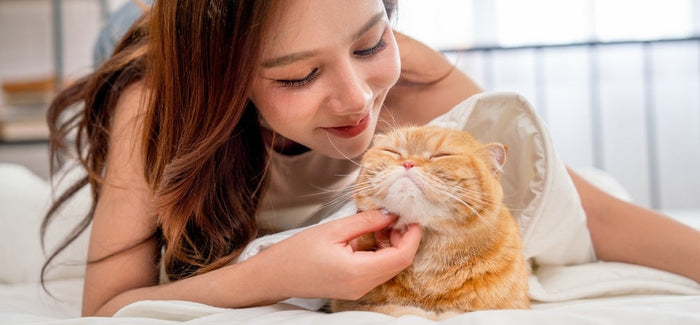 Cat Acne: Understanding and Managing Chin Breakouts in Cats