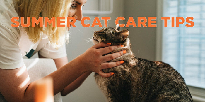 Vetericyn summer cat care tips