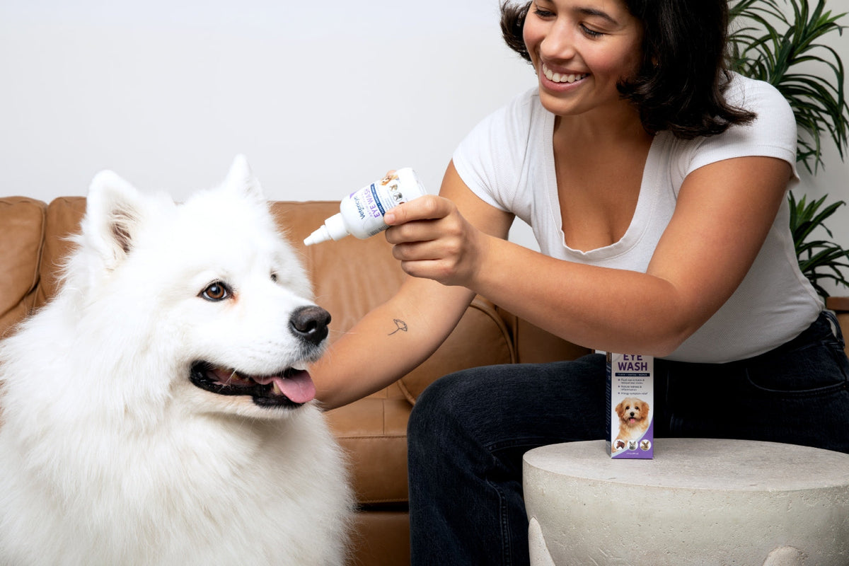 How to Clean Dog Eyes