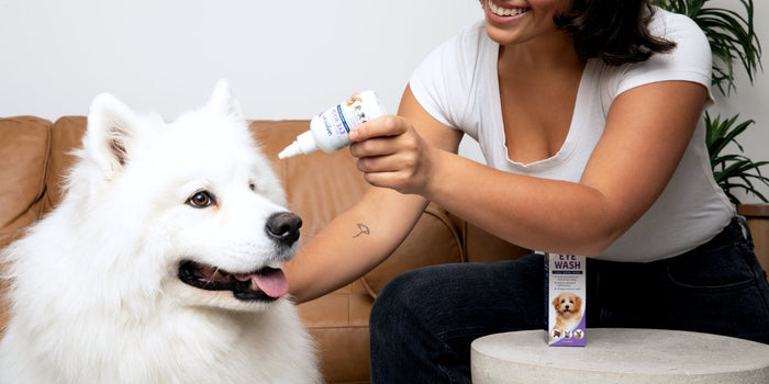 cleaning dogs eye with Vetericyn product