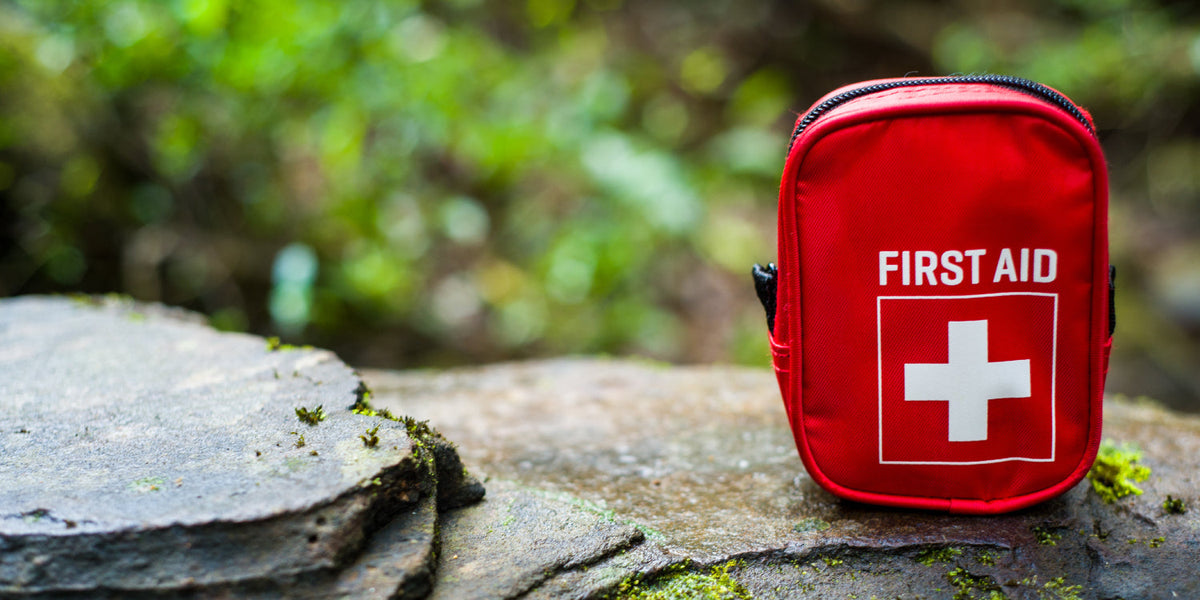 pet first aid kit