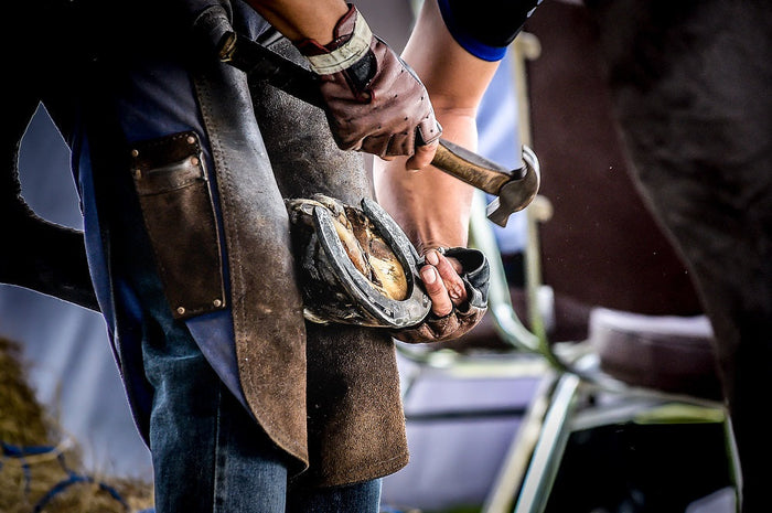 10 Hoof Care Tips From a Farrier