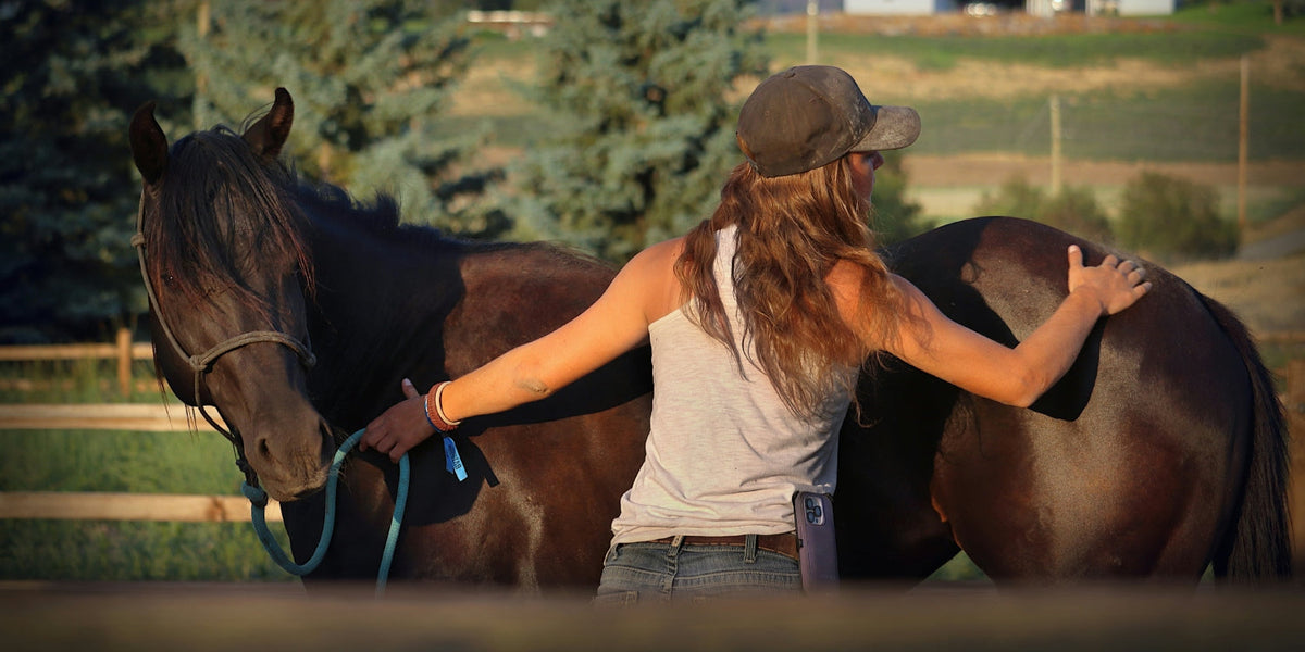 Horse Grooming Tips for a Healthy Summer Coat