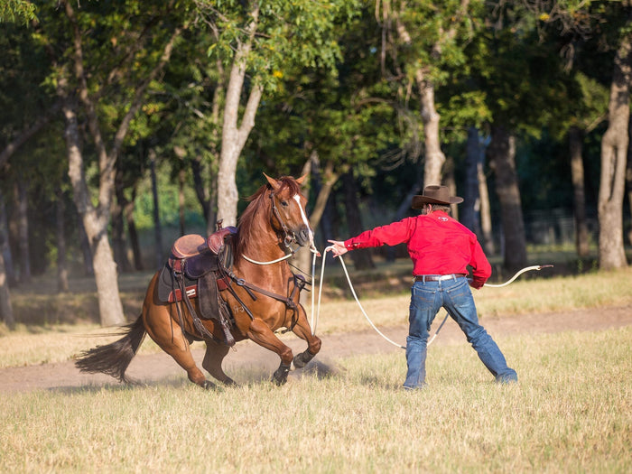 Clinton Anderson Tip - 3 Ways to Overcome Your Horse's Rearing