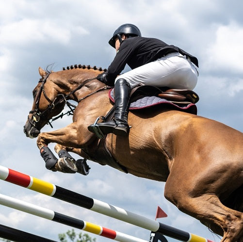 Arthritis in Horses: Symptoms, Treatments, and Prevention Tips