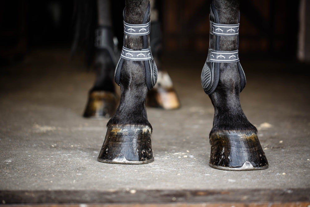How To Soak a Horse's Hoof
