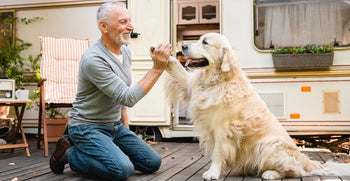 Keeping Your Dog’s Joints Healthy as They Age